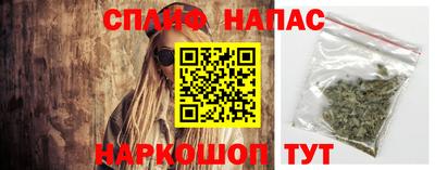 гашик Ирбит