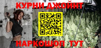 гашик Ирбит