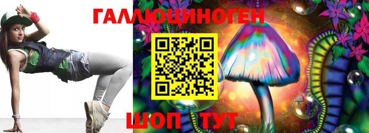 Галлюциногенные грибы Psilocybe Кингисепп